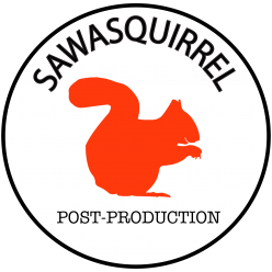 Sawasquirrel Post